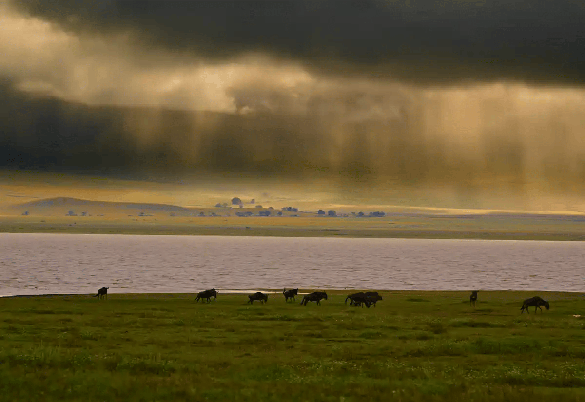 Rain on the plains April
