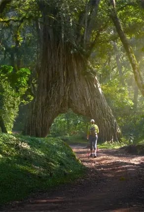 Arusha National Park