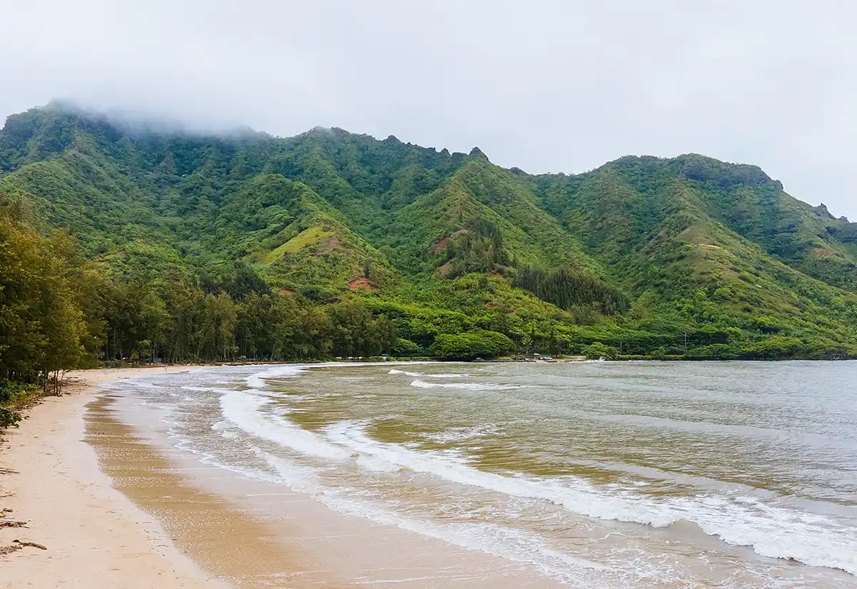 Forest and Beach August