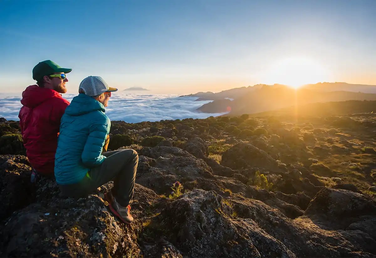 Couple watching the forest August