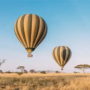 Balloon Safari