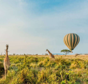 Balloon-Safari