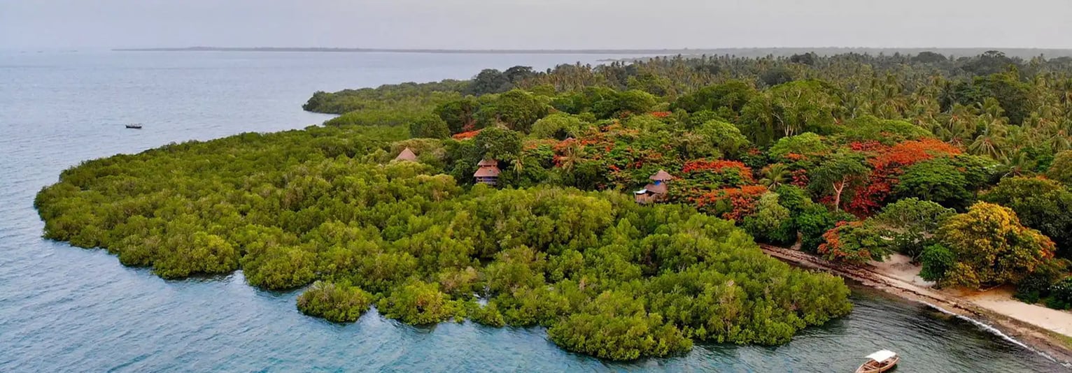 Chole Mjini Treehouse Lodge