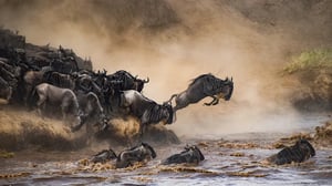 Your Guide to Planning a Tanzania Honeymoon on Any Budget