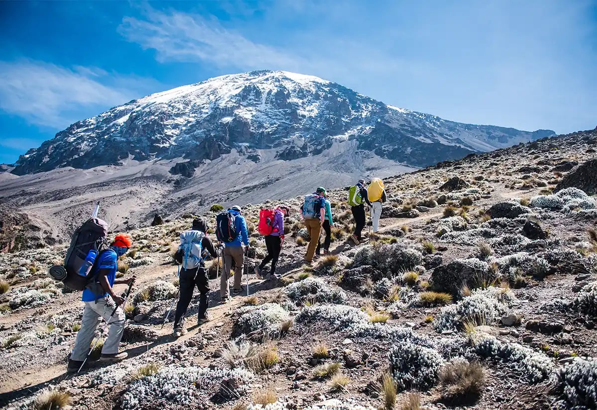 People hiking Kilimanjaro February