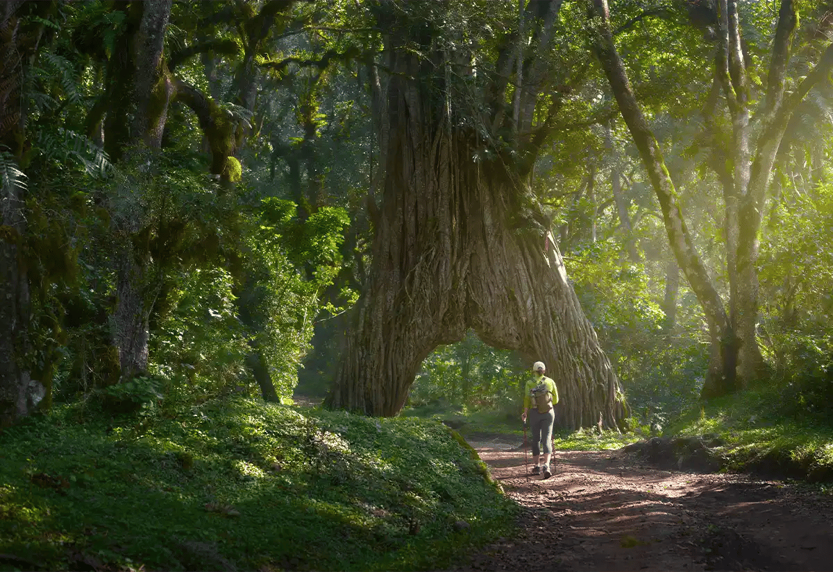 Quiet Trails February