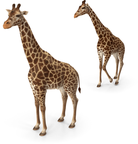 Ending CTA Image Alt