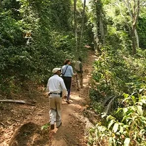 Hiking & Nature Walks