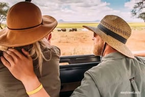 A Go-To Guide For Booking A Trip To Tanzania With Easy Travel