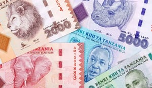 Your complete guide to money matters while traveling in Tanzania
