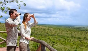 Your ultimate safari fashion show, from head to toe