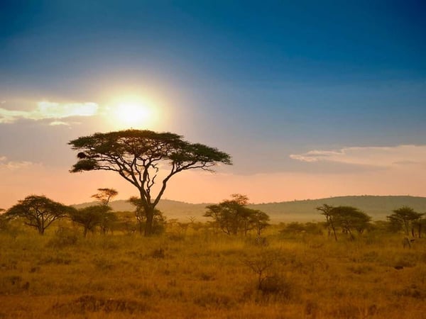 Top 10 things to do in Tanzania (Clone)