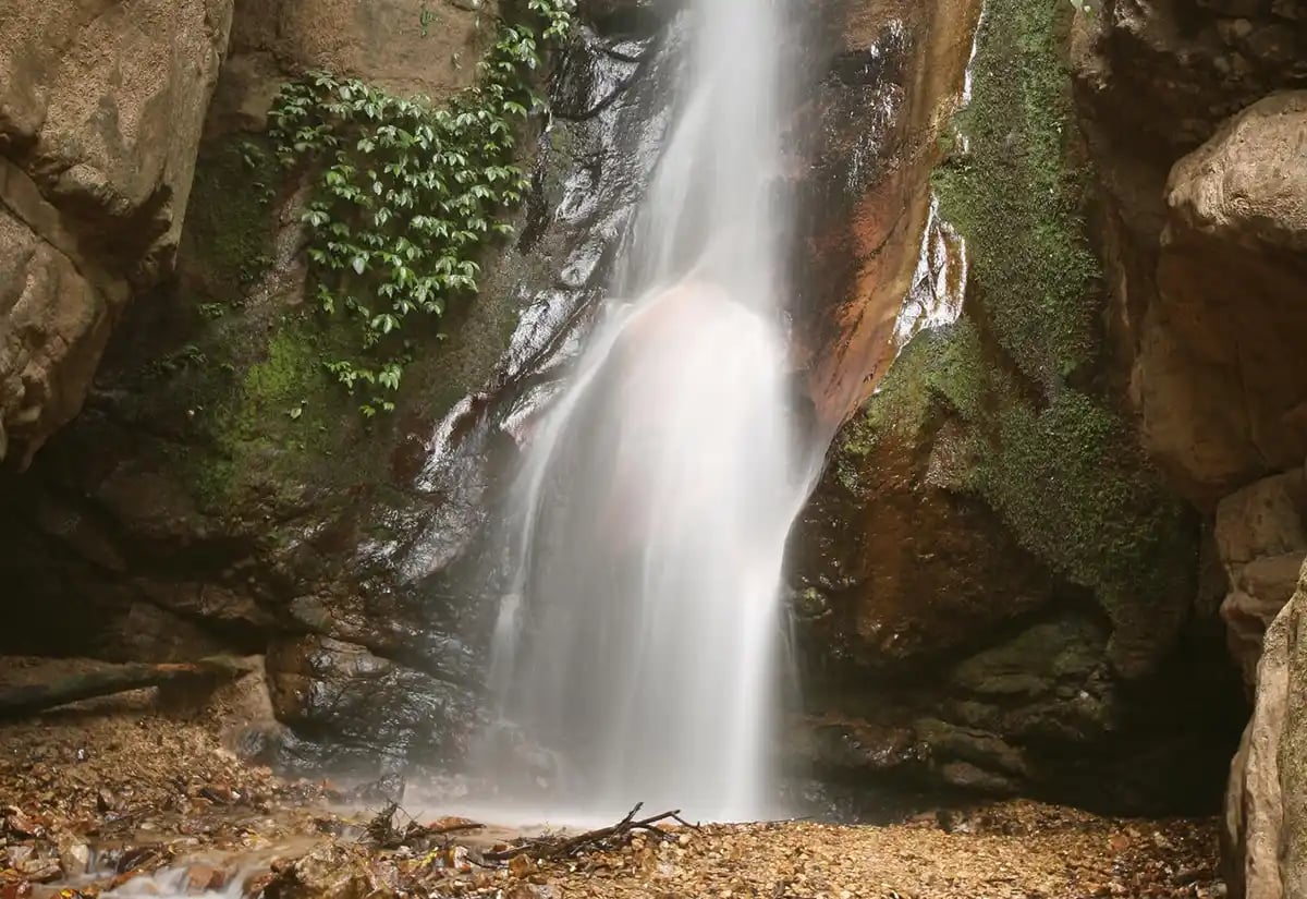 Waterfall in a cove July