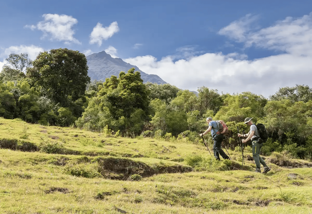 Hiking in mountains June