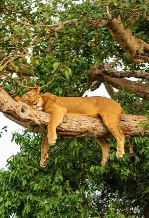 Lake Manyara National Park