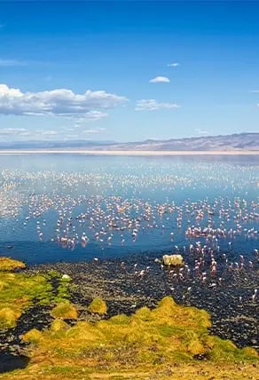 Lake Natron