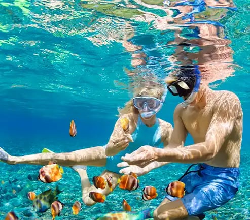 Couple snorkeling in the sea at Mafia