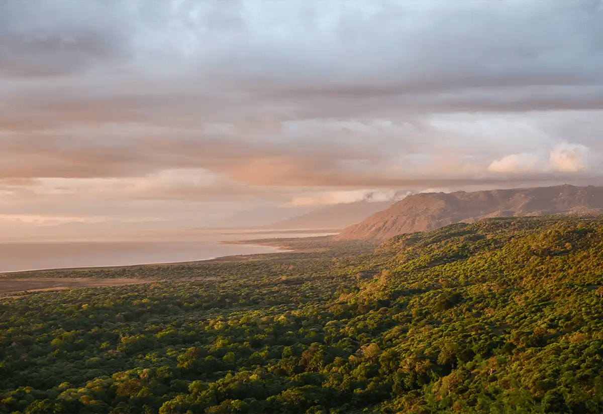 Lake Manyara green view May