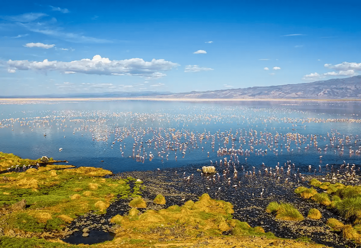 Aerial view of lake Natron May