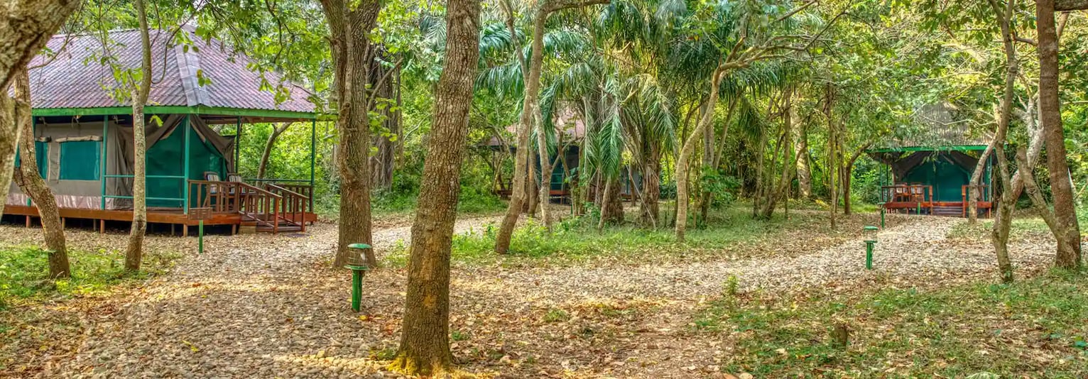 Mbali Mbali Gombe Lodge