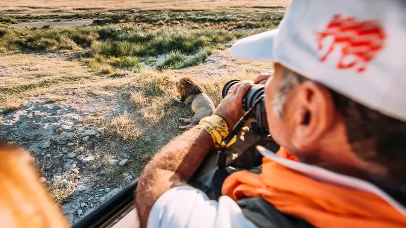 Photographer taking a picture to a Lion