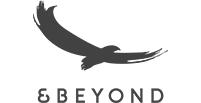& Beyond Logo