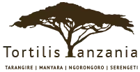 Tortilis Tanzania Logo