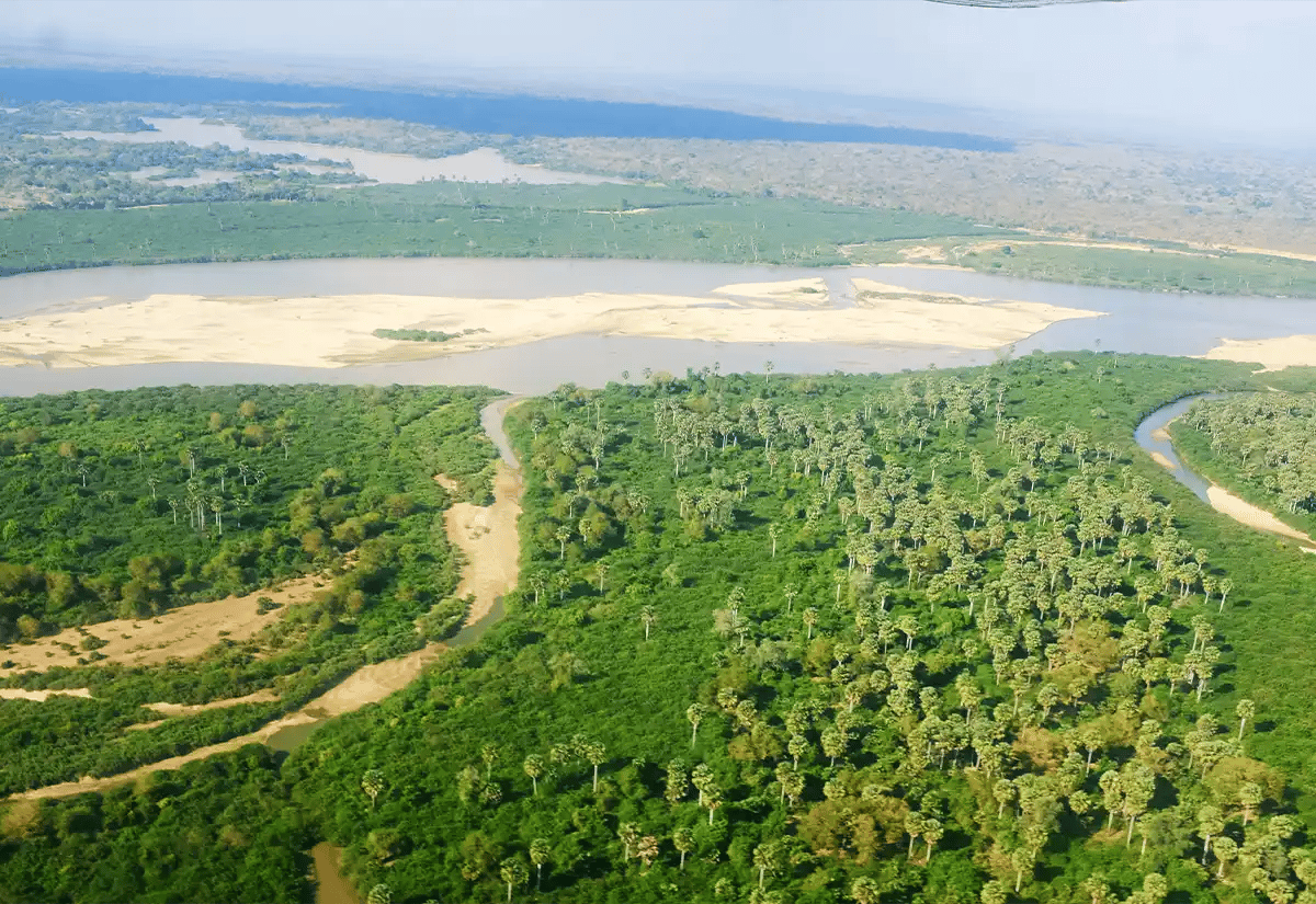Aerial view of Nyerere February