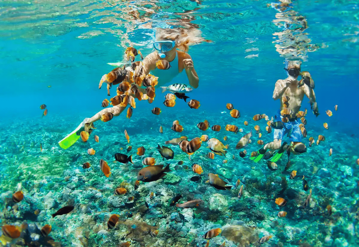 A couple scuba diving in a reef July