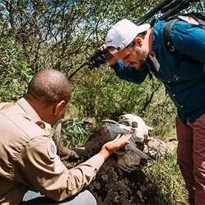 Walking Safari & Nature Walks