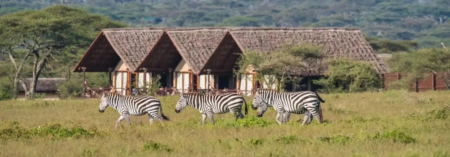 Lake Ndutu Luxury Tented Camp