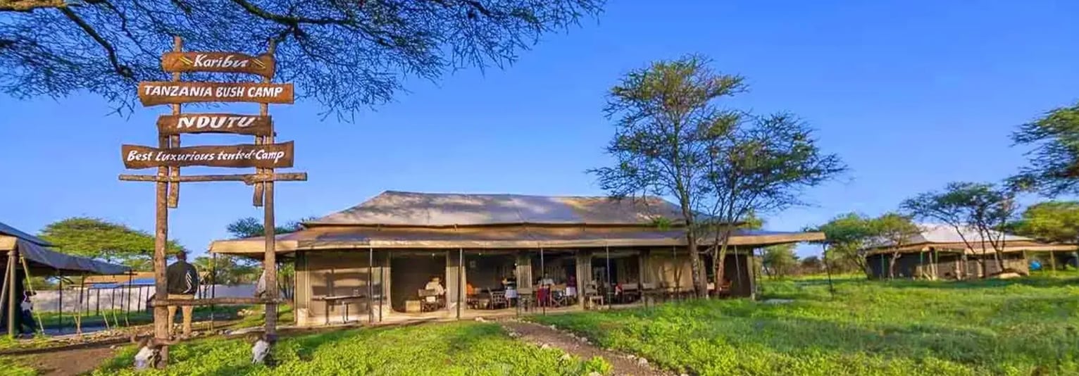 Ndutu Tanzania Bish Camp