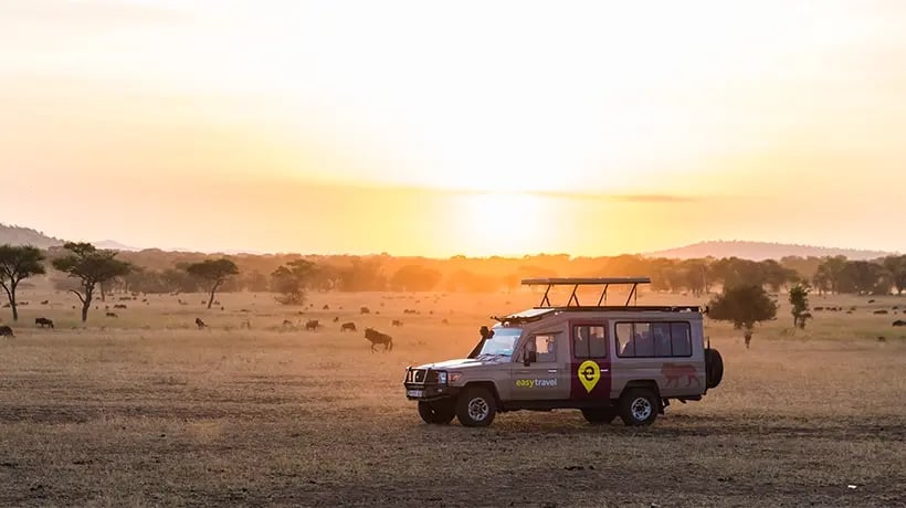 Safari truck in a prairie