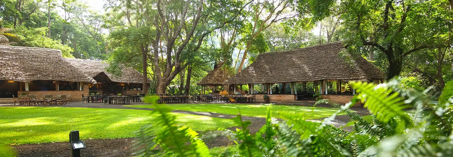 Rivertrees Country Inn