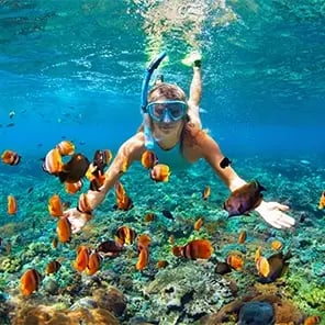 Snorkeling & Diving