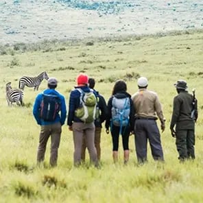 Walking Safari & Nature Walks