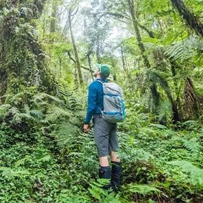 Walking Safari & Nature Walks