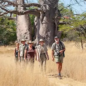 Walking Safari & Nature Walks