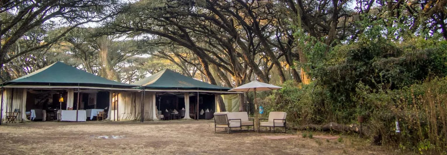 Sanctuary Ngorongoro Crater Camp