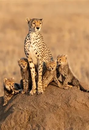 Serengeti National Park