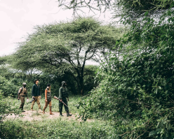 Supporting Image 4 Alt Text