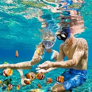 Snorkeling and Diving