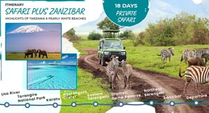 The Ultimate Holiday: A Tanzania & Zanzibar Trip Package