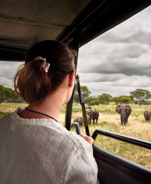 Tour Cards - 3 (1) (1)