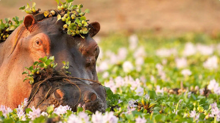 Supporting Image 6 Alt Text