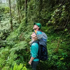 Walking Safari & Nature Walks