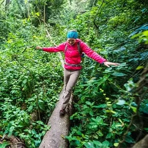 Walking Safari & Nature Walks