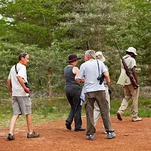 Walking Safari & Nature Walks