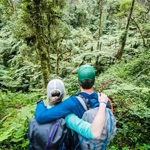 Walking Safari & Nature Walks