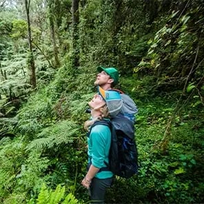 Walking Safari and Nature Walks 